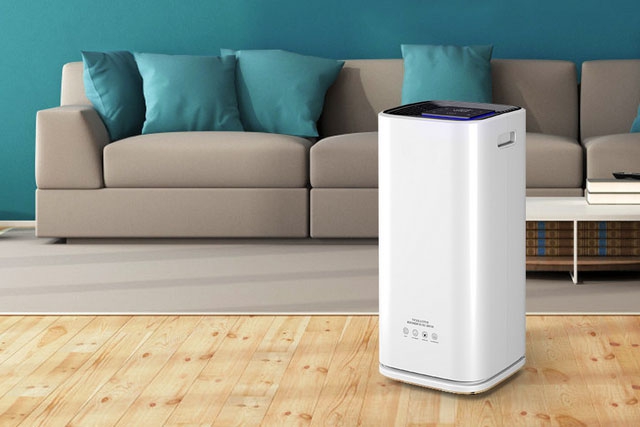 梅雨季節如何保持狗狗身體干燥？