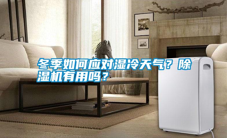 冬季如何應(yīng)對(duì)濕冷天氣?除濕機(jī)有用嗎?