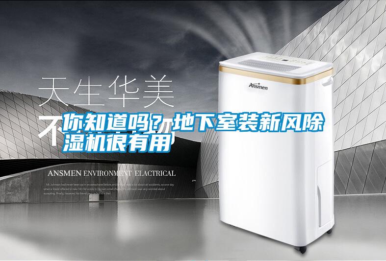 你知道嗎？地下室裝新風除濕機很有用