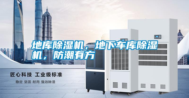 地庫除濕機,地下車庫除濕機,防潮有方