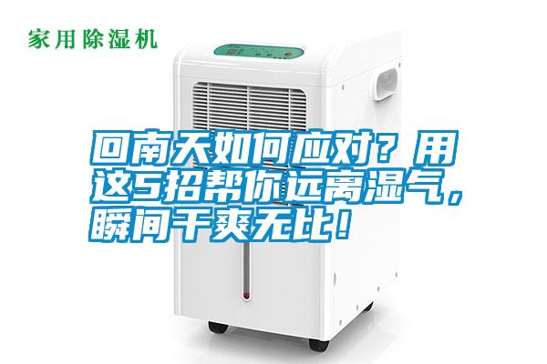 回南天如何應對？用這5招幫你遠離濕氣，瞬間干爽無比！