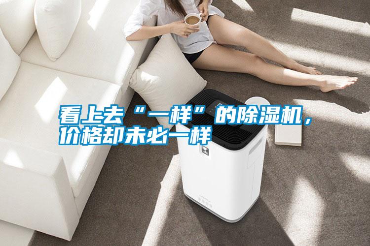 看上去“一樣”的除濕機，價格卻未必一樣