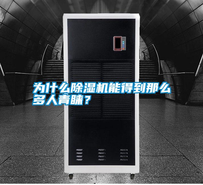 為什么除濕機(jī)能得到那么多人青睞？