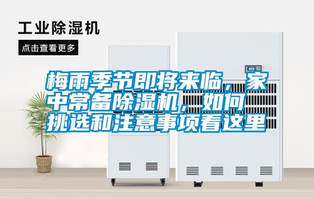 梅雨季節即將來臨，家中常備除濕機，如何挑選和注意事項看這里