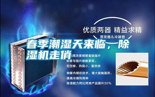 春季潮濕天來臨，除濕機走俏
