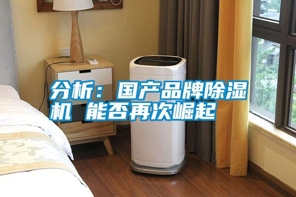 分析：國產品牌除濕機 能否再次崛起