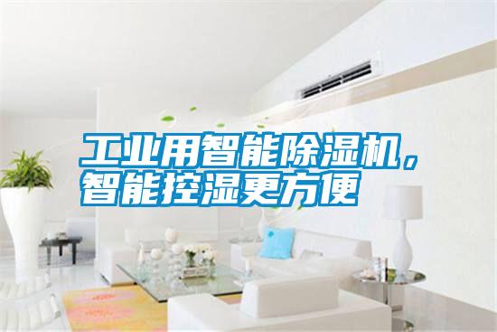 工業(yè)用智能除濕機,智能控濕更方便