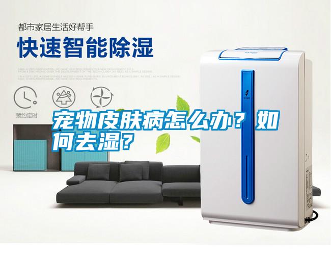 寵物皮膚病怎么辦？如何去濕？