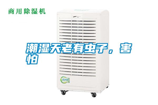 潮濕天老有蟲子，害怕