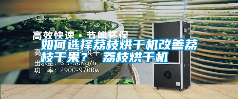 如何選擇荔枝烘干機改善荔枝干果？ 荔枝烘干機