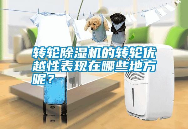 轉輪除濕機的轉輪優越性表現在哪些地方呢?