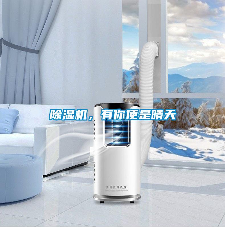 除濕機，有你便是晴天