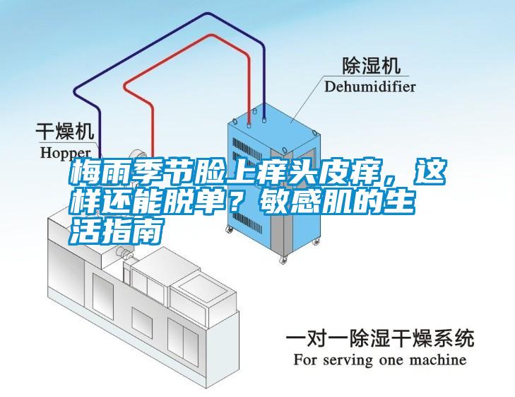 梅雨季節(jié)臉上癢頭皮癢,這樣還能脫單?敏感肌的生活指南