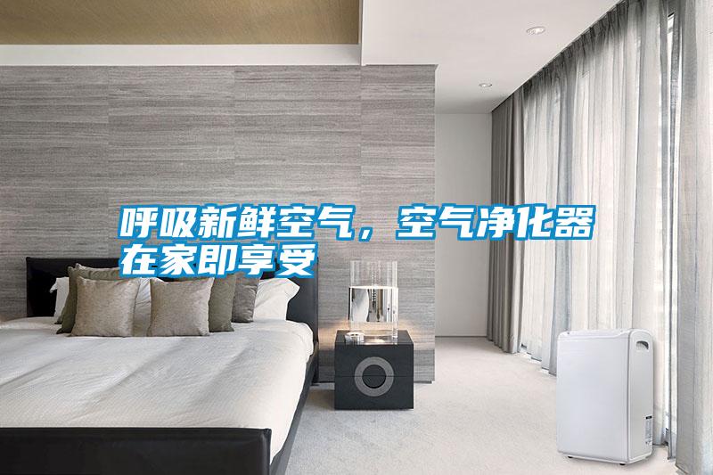 呼吸新鮮空氣,空氣凈化器在家即享受