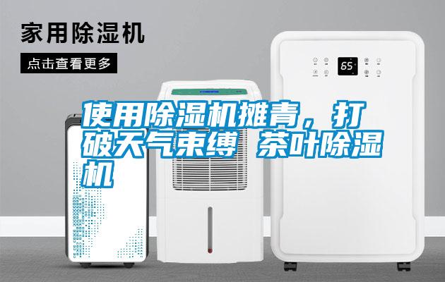 使用除濕機攤青，打破天氣束縛 茶葉除濕機