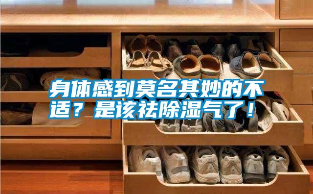 身體感到莫名其妙的不適？是該祛除濕氣了！