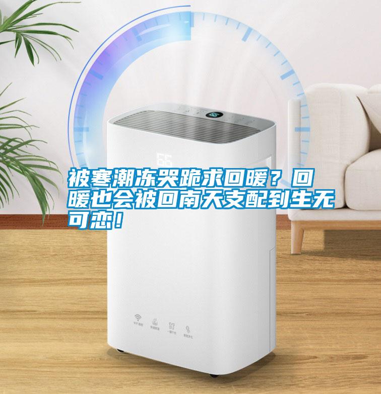 被寒潮凍哭跪求回暖？回暖也會被回南天支配到生無可戀！