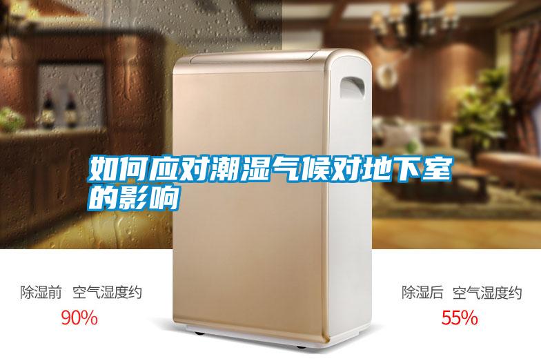 如何應(yīng)對潮濕氣候?qū)Φ叵率业挠绊?></div>
								<div   id=