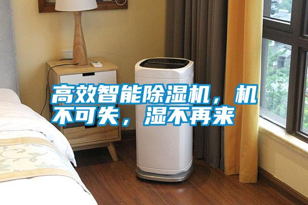 高效智能除濕機(jī),機(jī)不可失,濕不再來