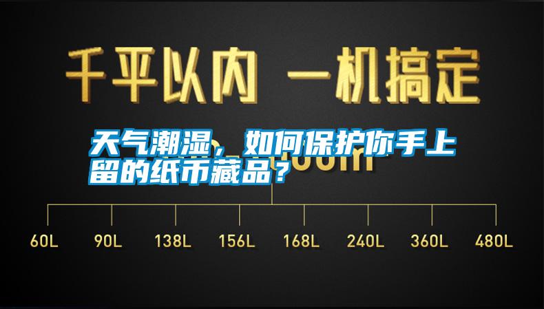 天氣潮濕，如何保護(hù)你手上留的紙幣藏品？