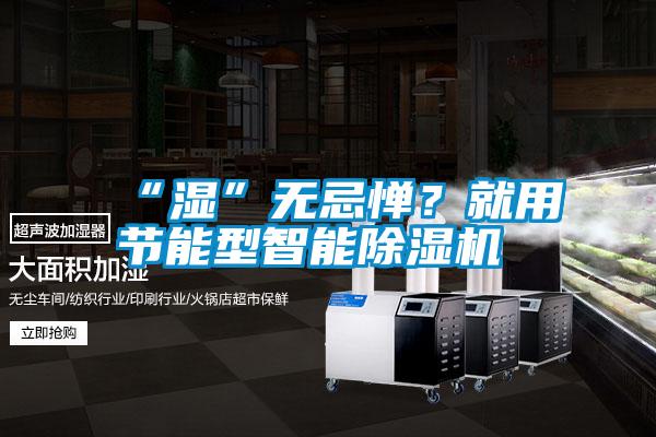 “濕”無忌憚?就用節(jié)能型智能除濕機