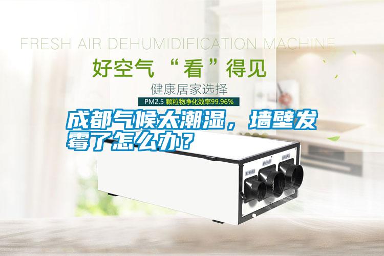 成都?xì)夂蛱睗瘢瑝Ρ诎l(fā)霉了怎么辦？