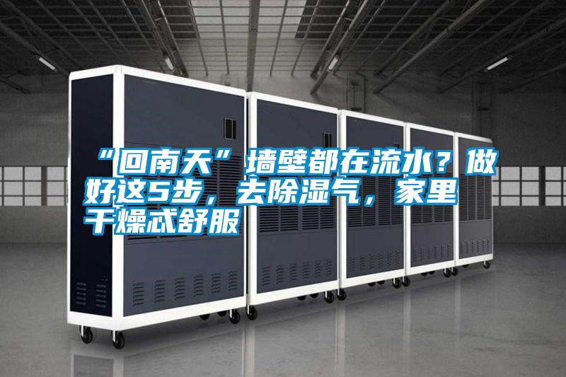 “回南天”墻壁都在流水？做好這5步，去除濕氣，家里干燥忒舒服