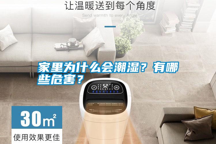 家里為什么會(huì)潮濕?有哪些危害?