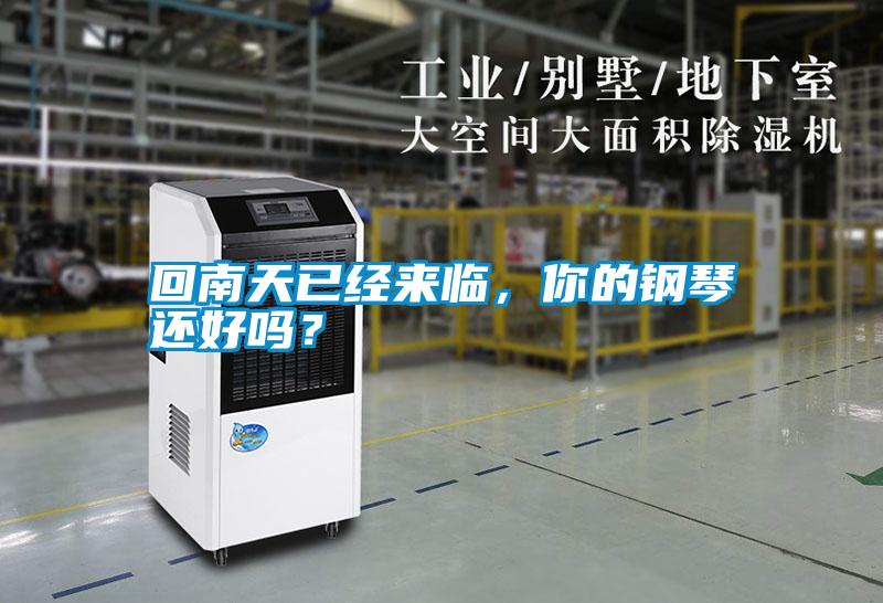 回南天已經(jīng)來臨,你的鋼琴還好嗎?