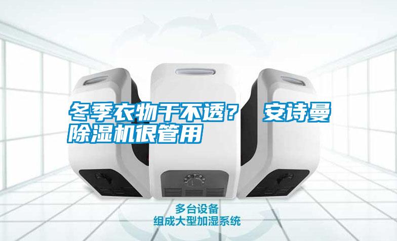 冬季衣物干不透? 安詩曼除濕機很管用