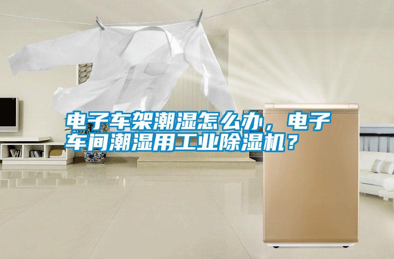 電子車架潮濕怎么辦,電子車間潮濕用工業除濕機?