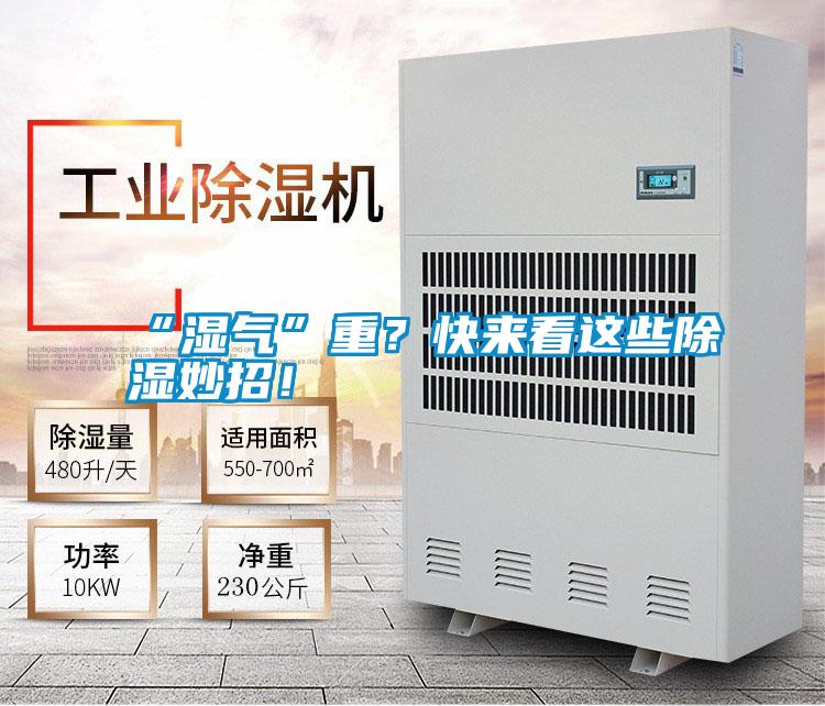 “濕氣”重？快來看這些除濕妙招！