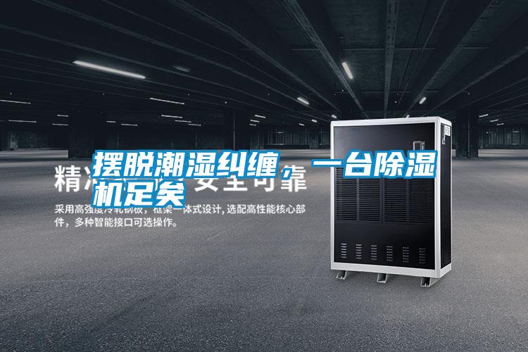 擺脫潮濕糾纏，一臺除濕機足矣