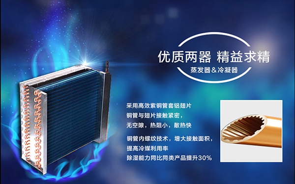 濕冷冬季，如何應對