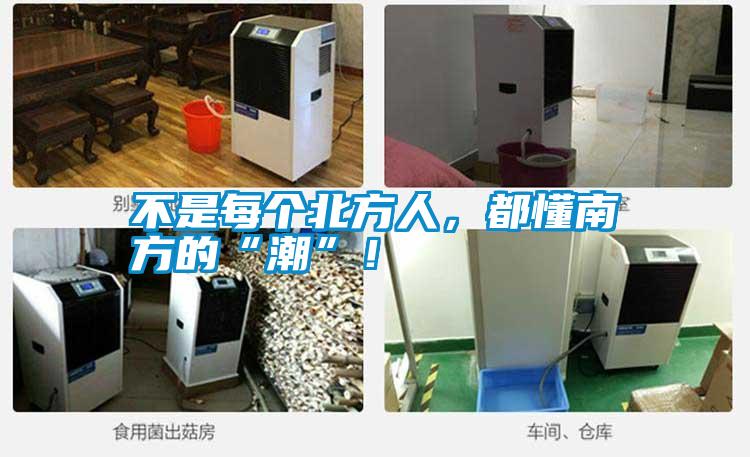 不是每個北方人，都懂南方的“潮”！