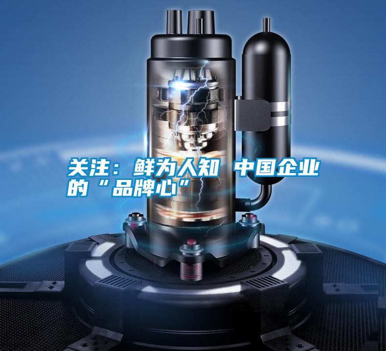 關注:鮮為人知 中國企業(yè)的“品牌心”