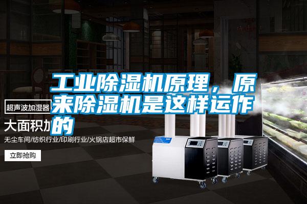 工業除濕機原理，原來除濕機是這樣運作的