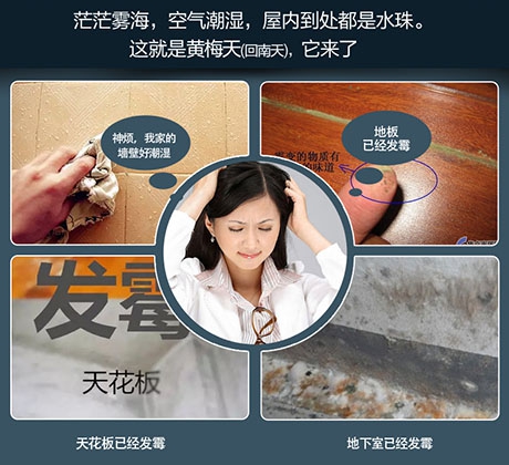 吊裝式中央除濕機,滿足全屋除濕需求