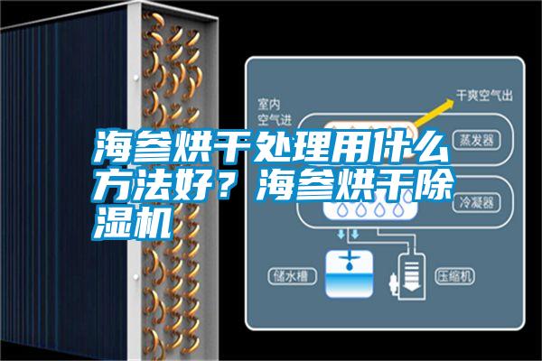 海參烘干處理用什么方法好？海參烘干除濕機