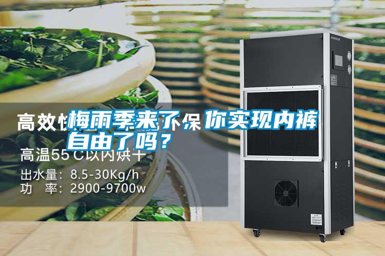 梅雨季來了,你實(shí)現(xiàn)內(nèi)褲自由了嗎?