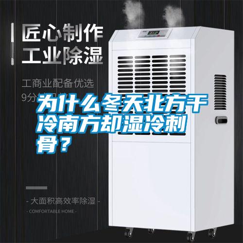 為什么冬天北方干冷南方卻濕冷刺骨?
