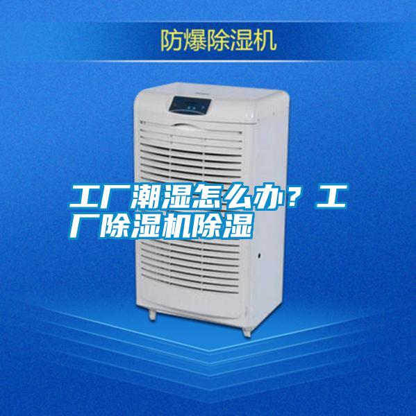 工廠潮濕怎么辦?工廠除濕機除濕
