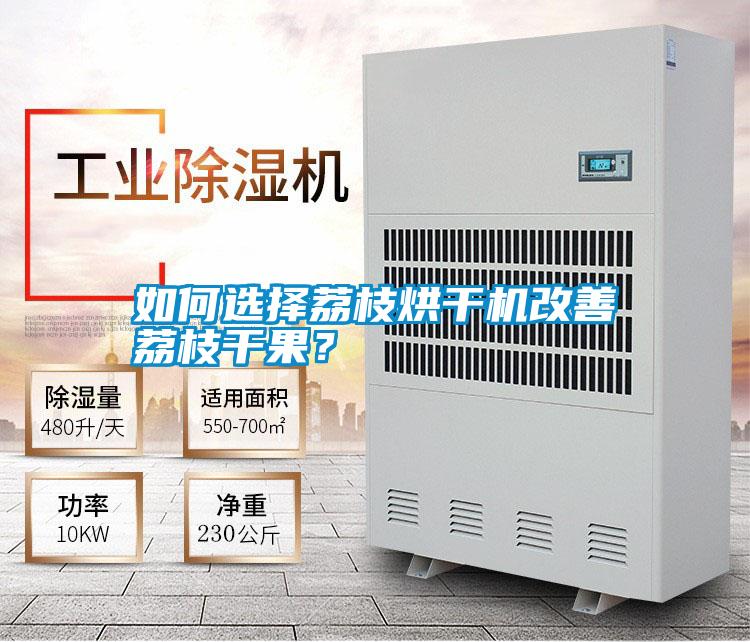 如何選擇荔枝烘干機(jī)改善荔枝干果?