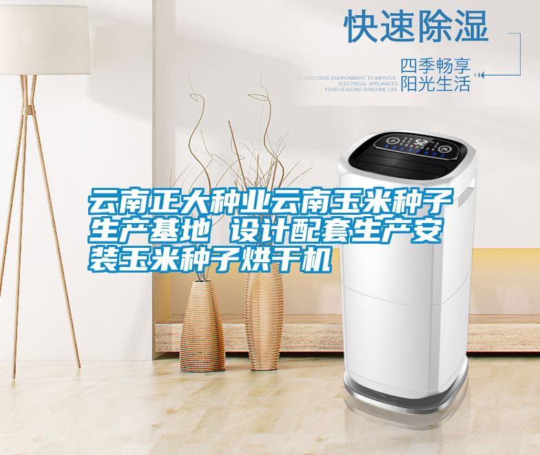 云南正大種業(yè)云南玉米種子生產基地 設計配套生產安裝玉米種子烘干機