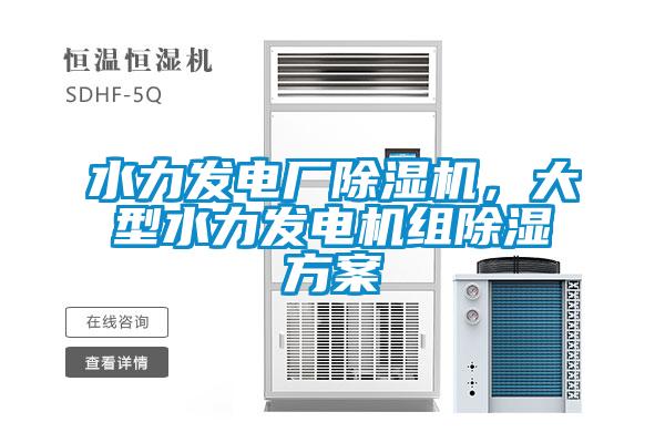 水力發電廠除濕機，大型水力發電機組除濕方案