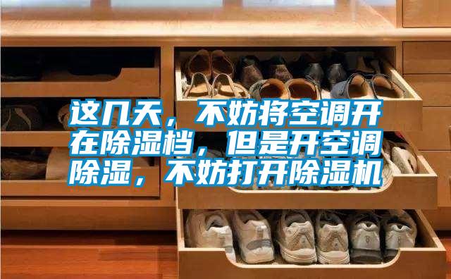 這幾天,不妨將空調(diào)開(kāi)在除濕檔,但是開(kāi)空調(diào)除濕,不妨打開(kāi)除濕機(jī)