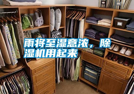 雨將至濕意濃，除濕機用起來
