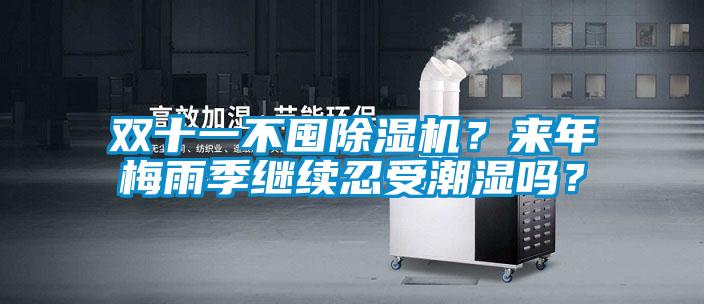 雙十一不囤除濕機？來年梅雨季繼續忍受潮濕嗎？