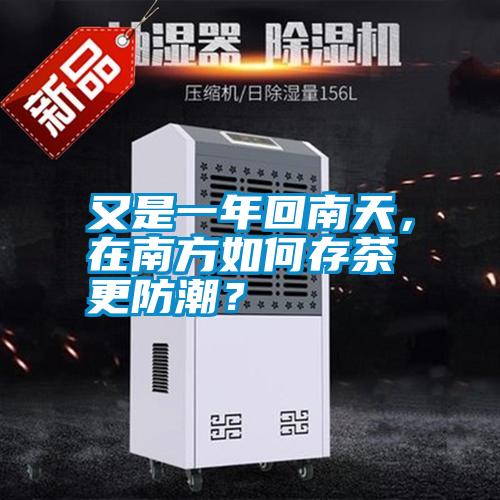 又是一年回南天，在南方如何存茶更防潮？