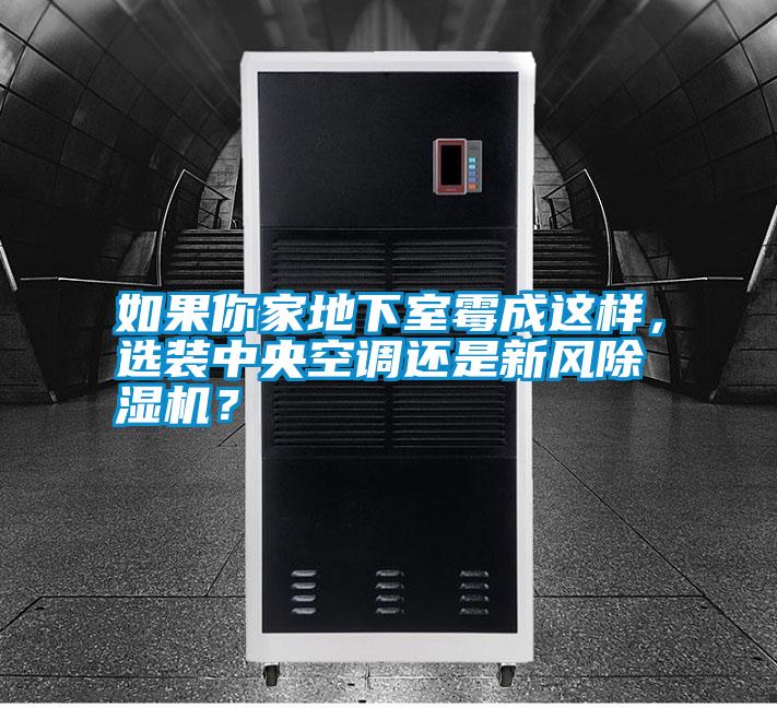如果你家地下室霉成這樣，選裝中央空調還是新風除濕機？